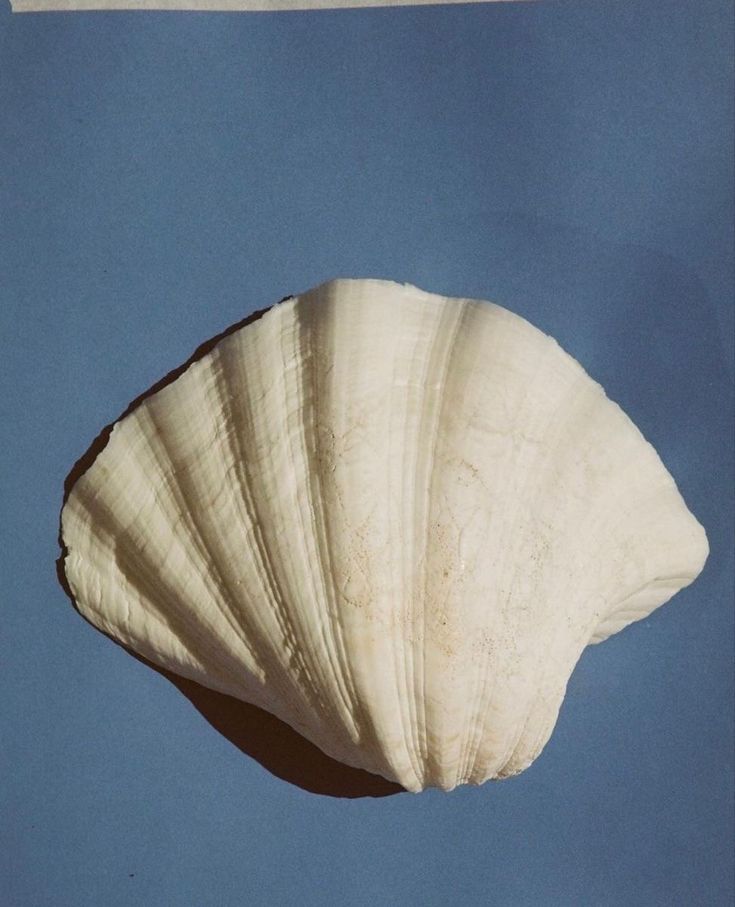 Detalle artesanal 2