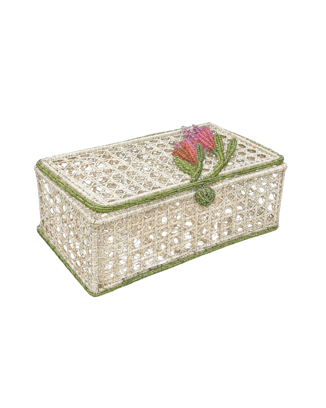 Ilustración de tejido Iraca